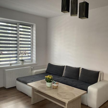 Apartament W Centrum Malborka Extérieur photo