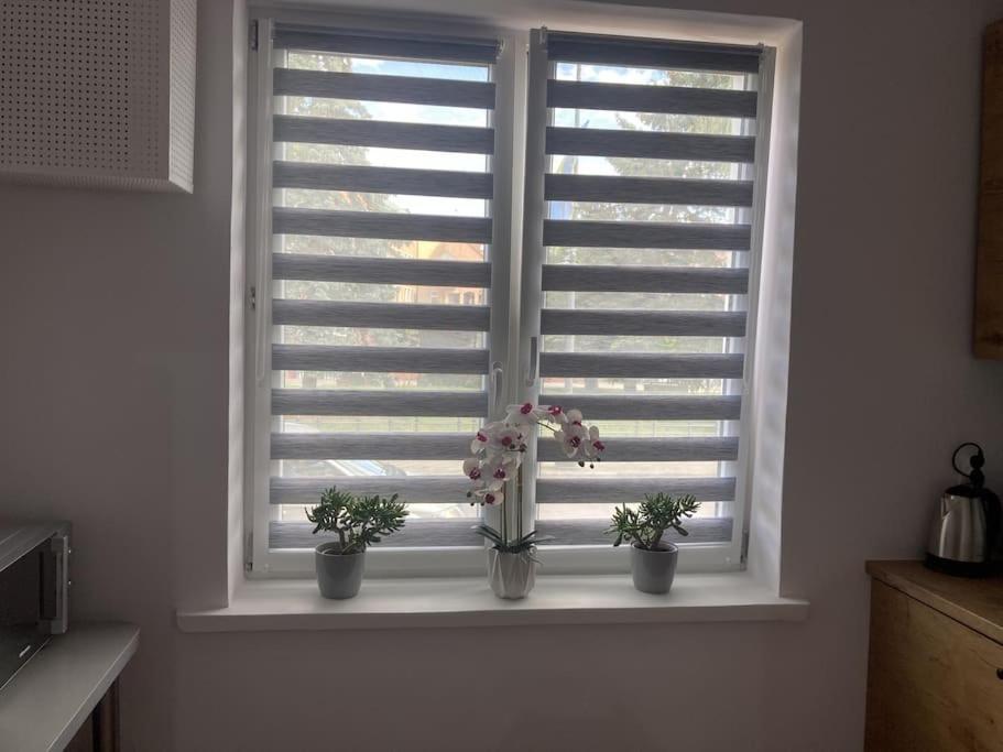 Apartament W Centrum Malborka Extérieur photo