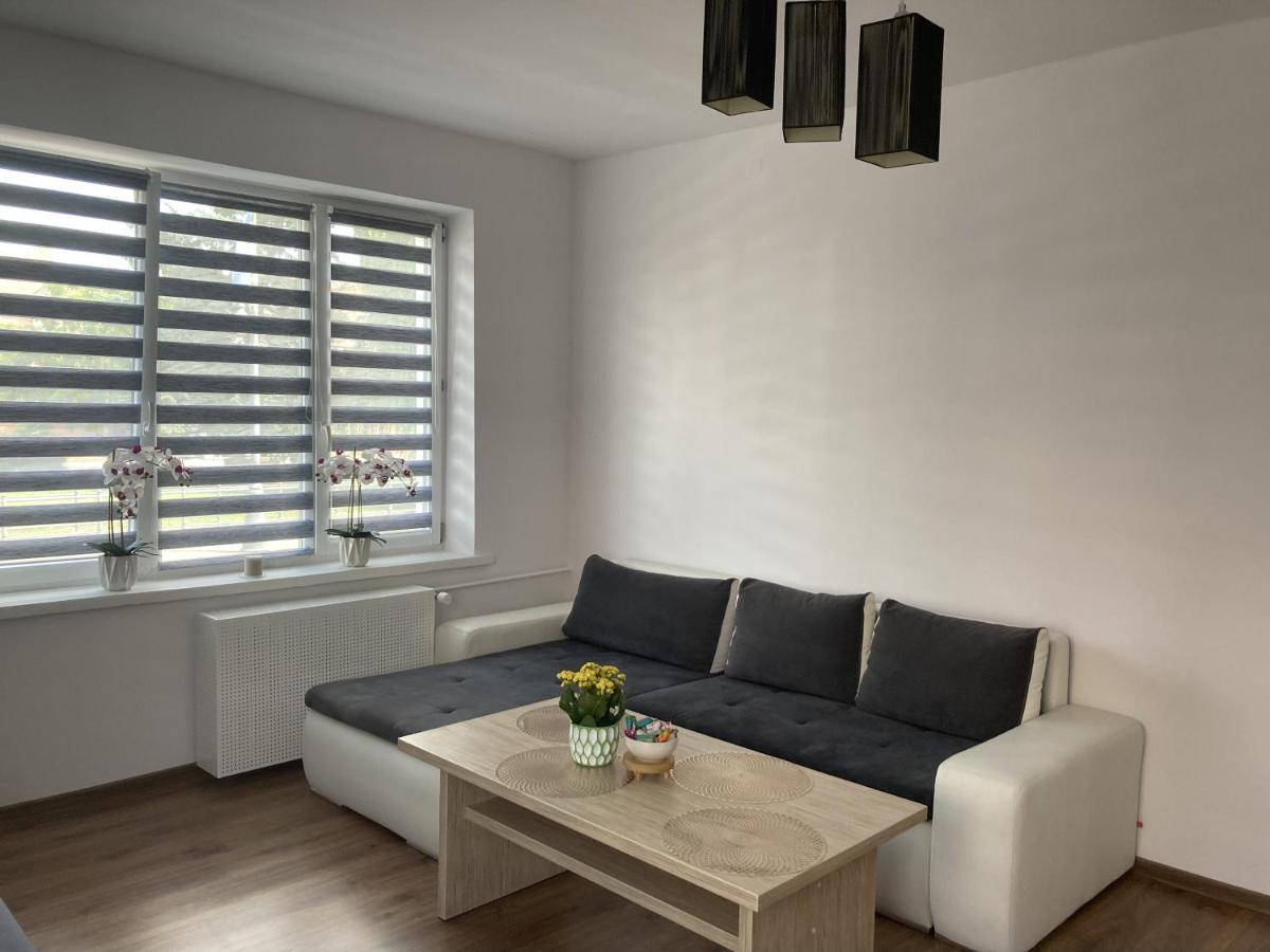 Apartament W Centrum Malborka Extérieur photo
